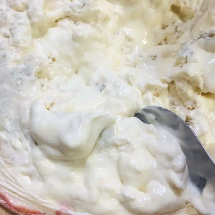 Gorgonzola à la cuillère