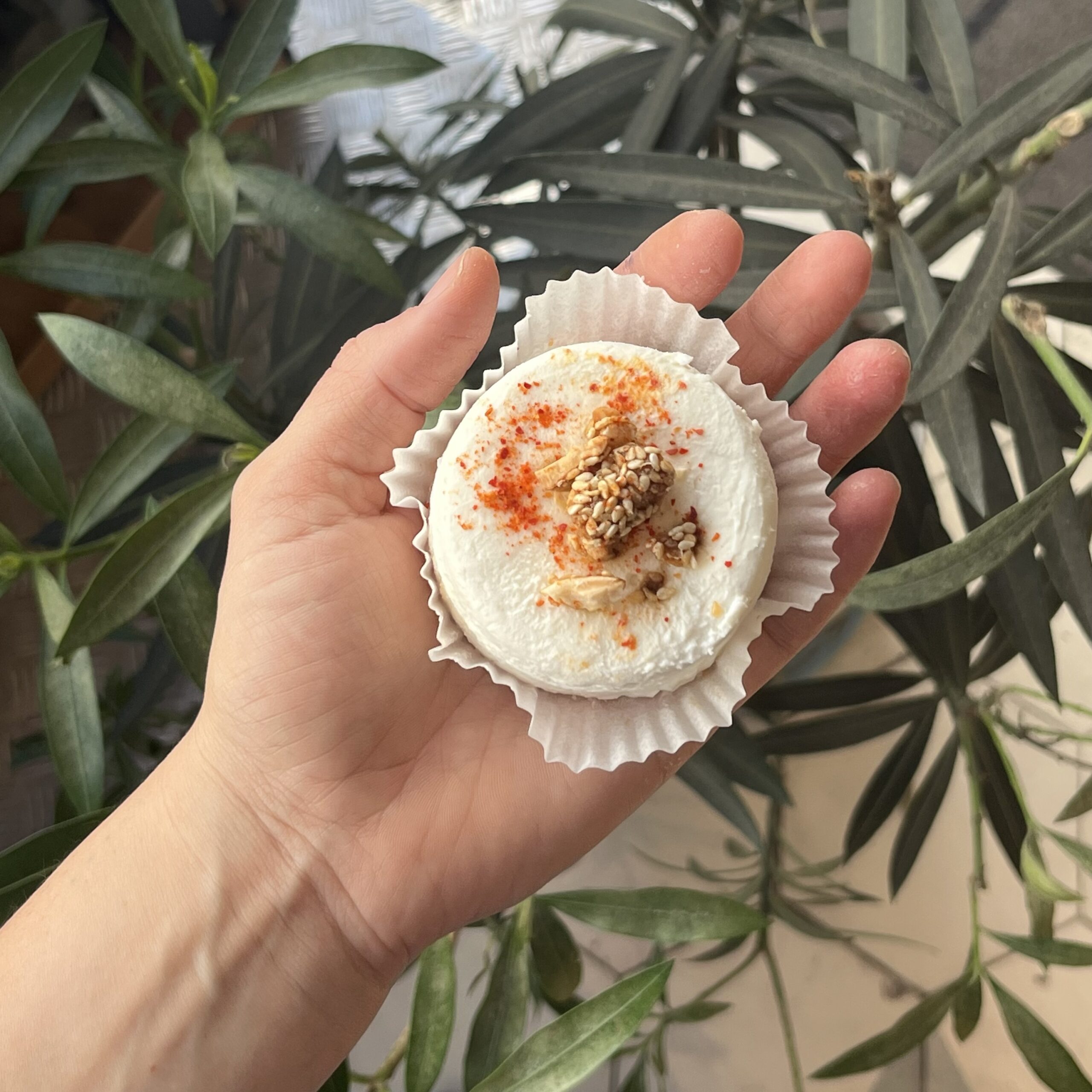 Chèvre frais coeur de figue