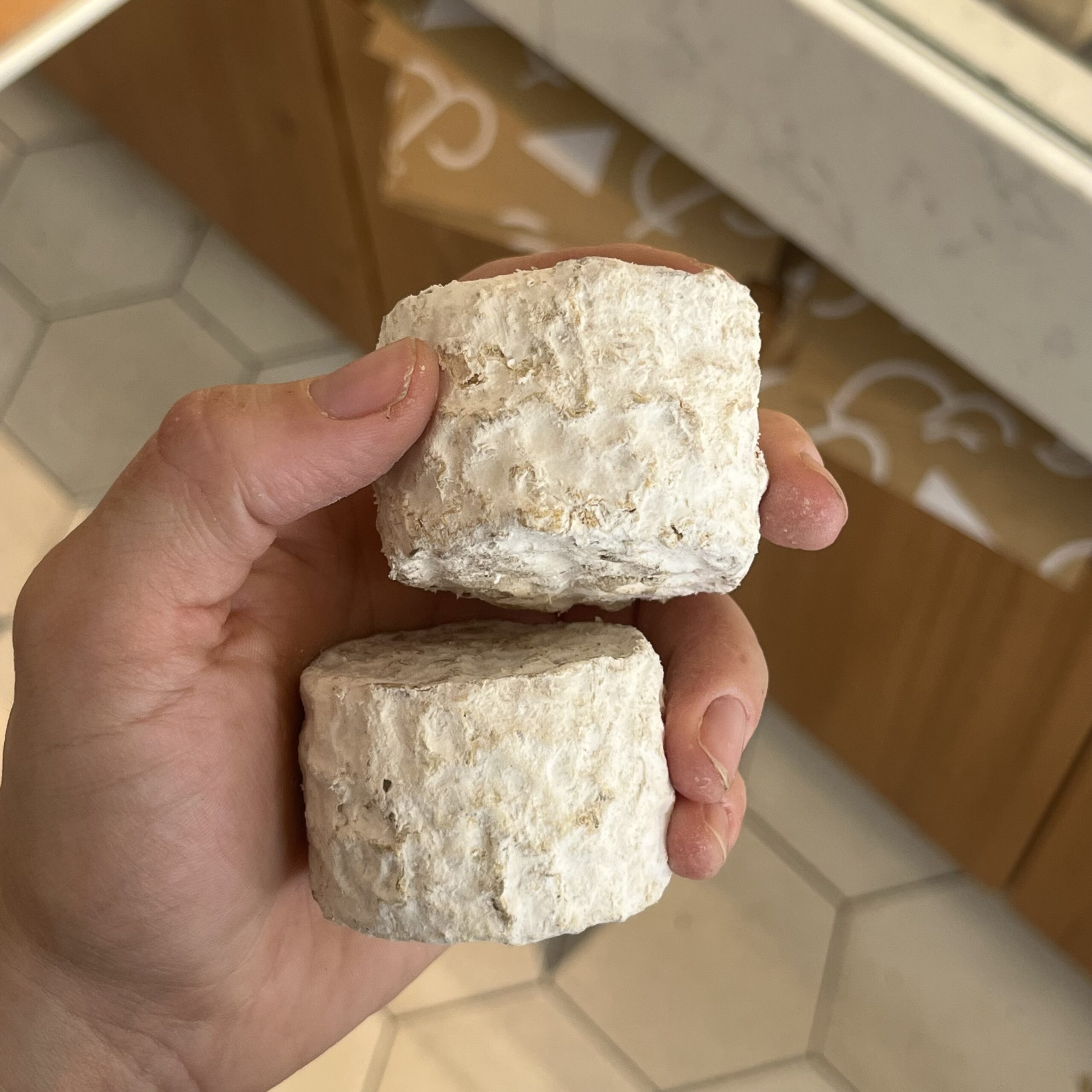 Chèvre du Signal